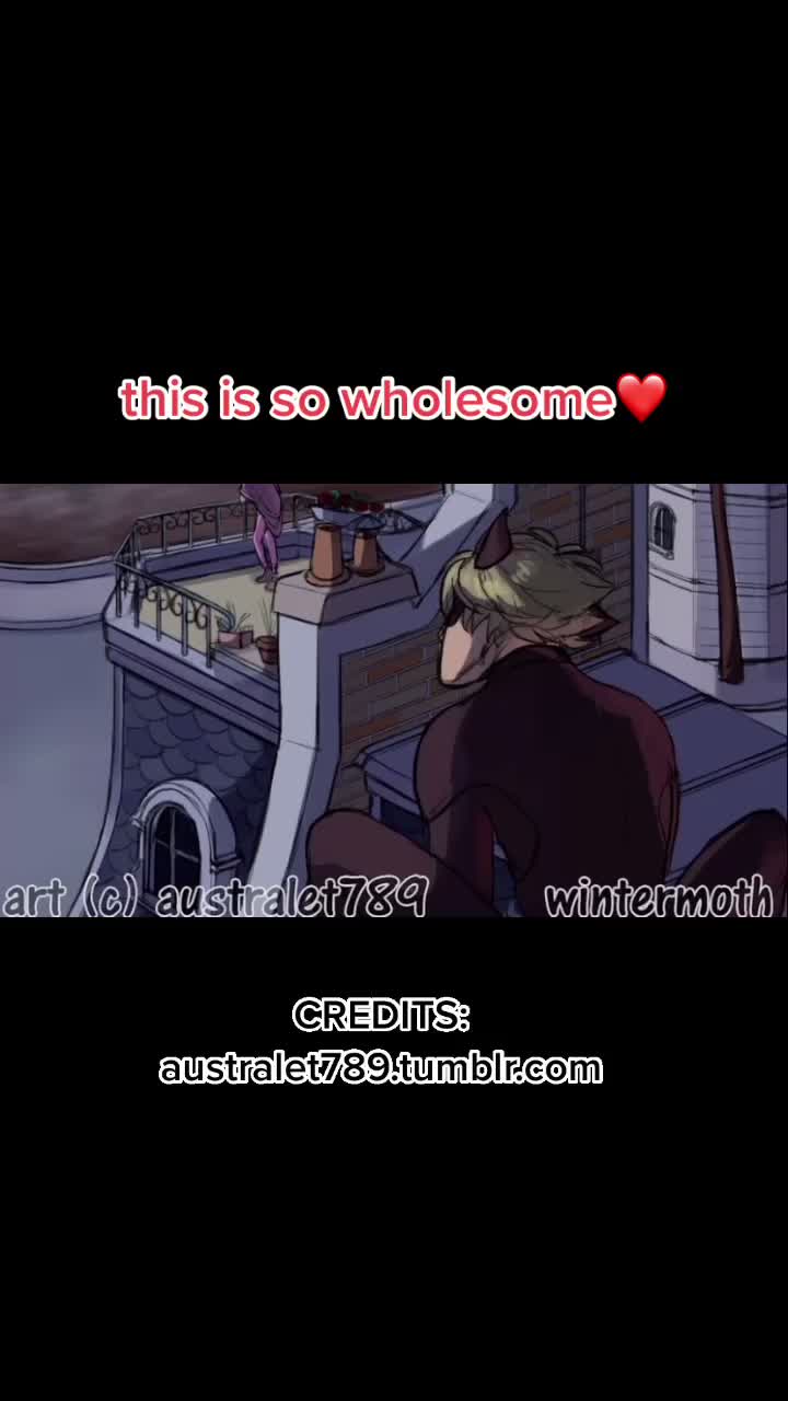 @miraculous😚🐞🐈⬛