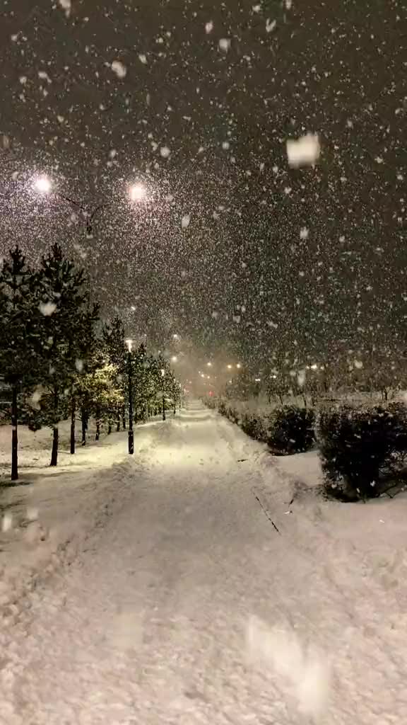 @Валерия Кулагина
