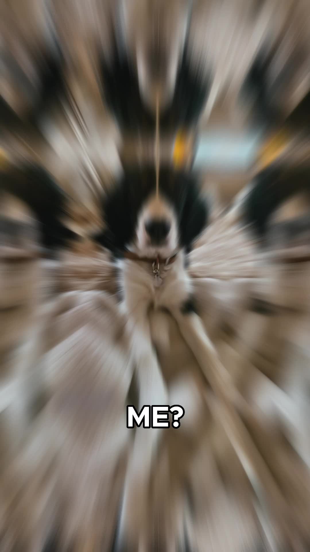 @Jen