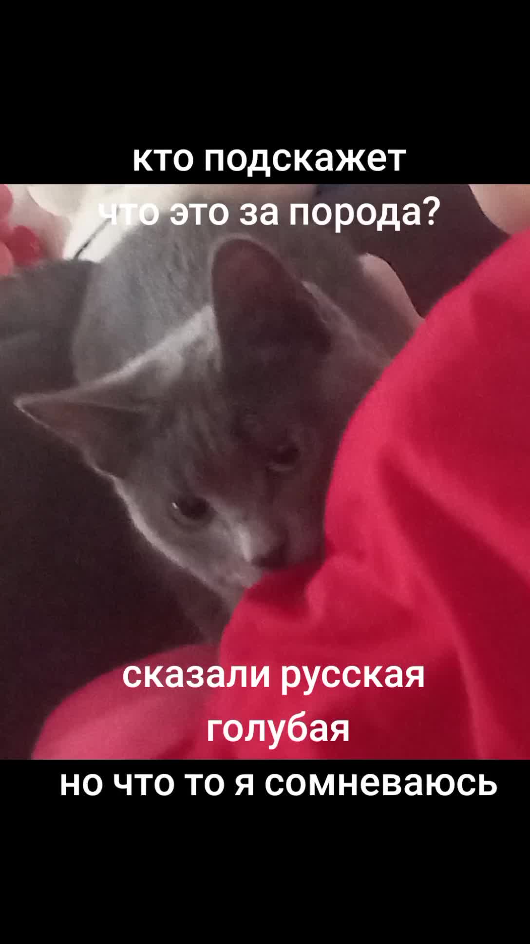 @_lyubov74rus