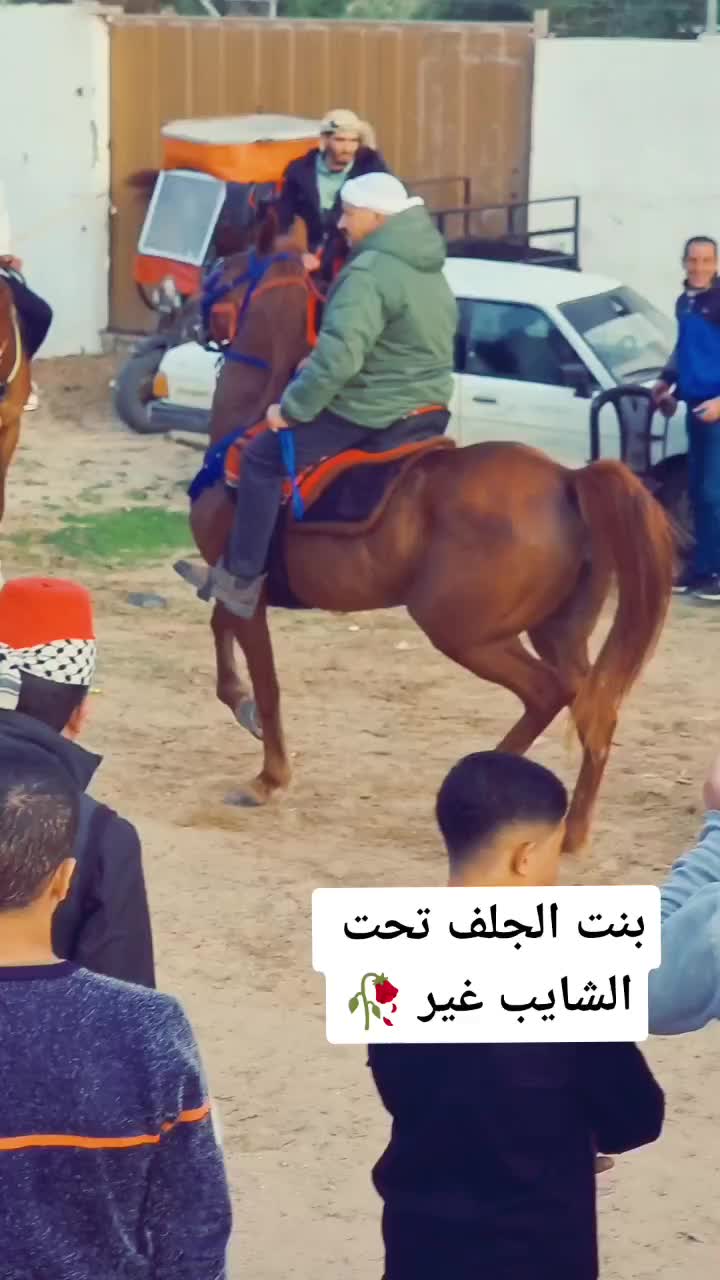 @شريف ابو مسعود
