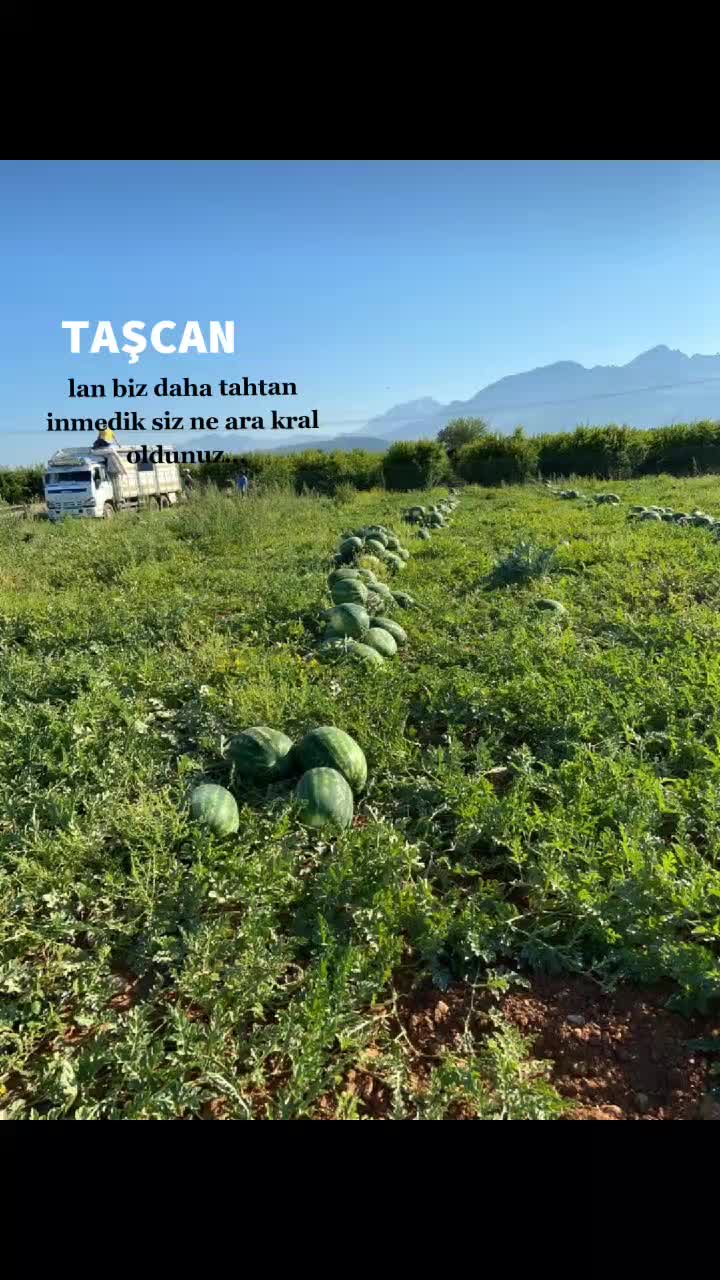 @ey&uuml;pcan13