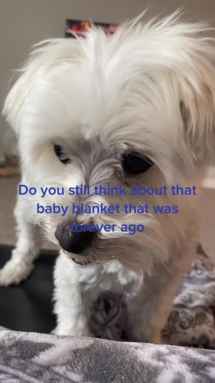 @Just a girl and her dog
