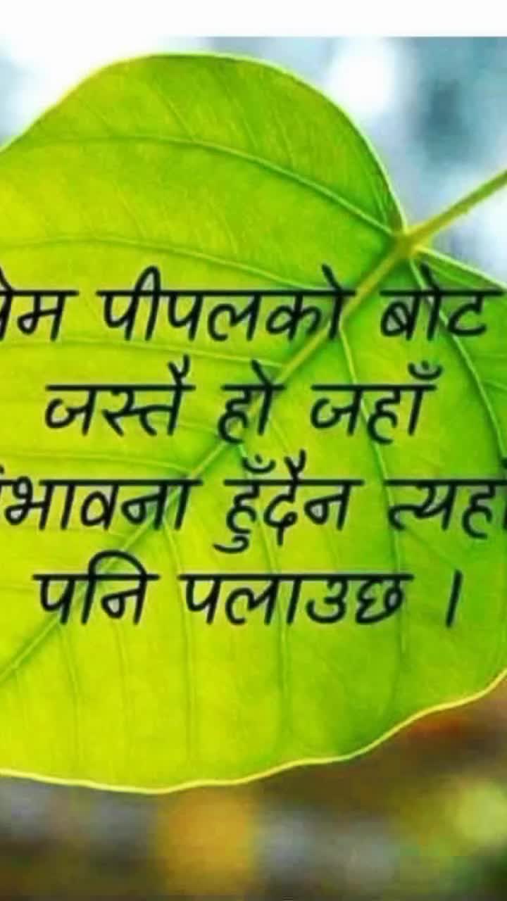 @DK_DLK