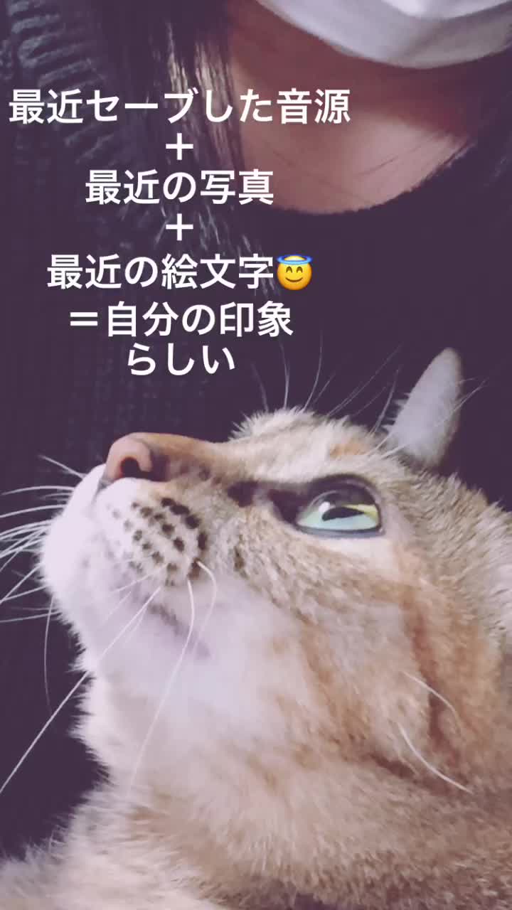 @チベットスナギツネ