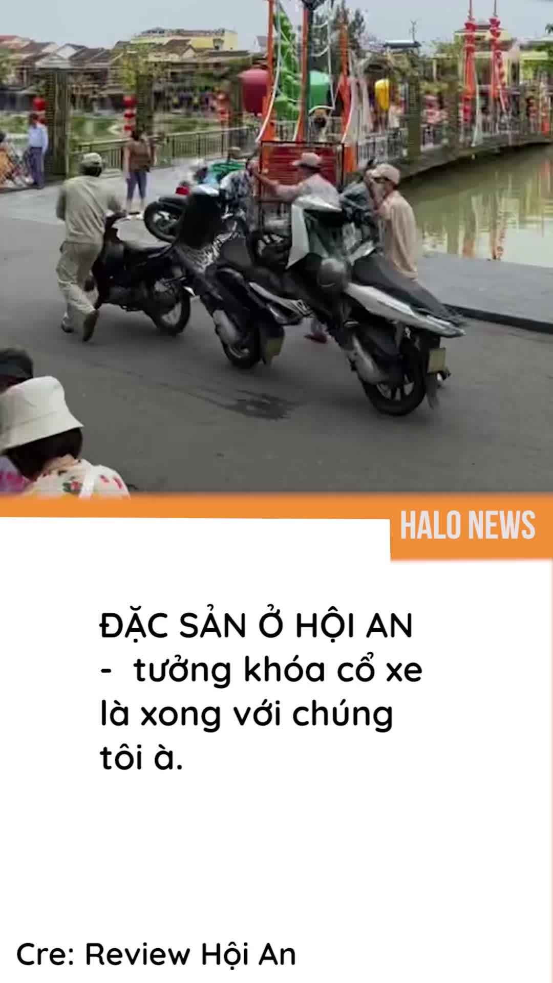 @Halo Vietnam