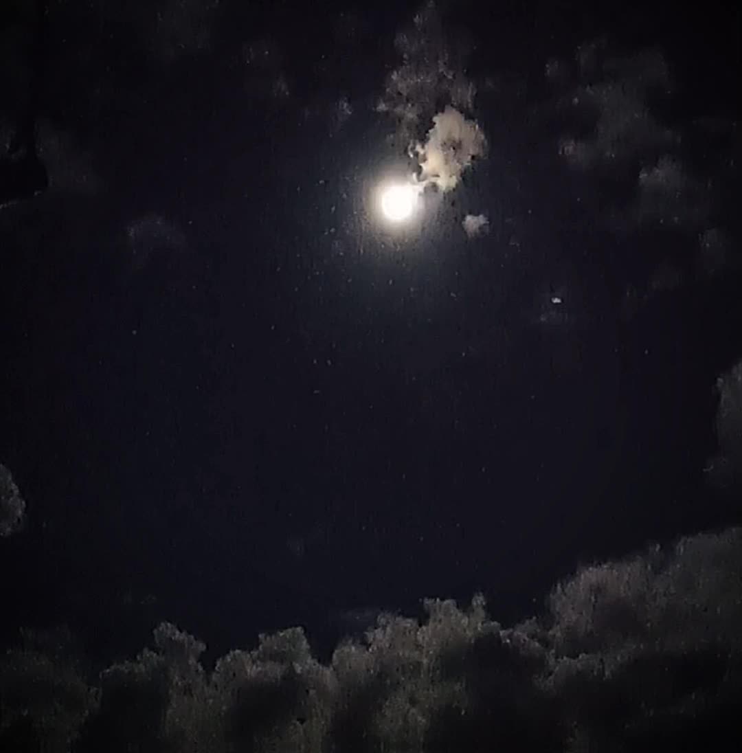 @@ᴘᴇʙ