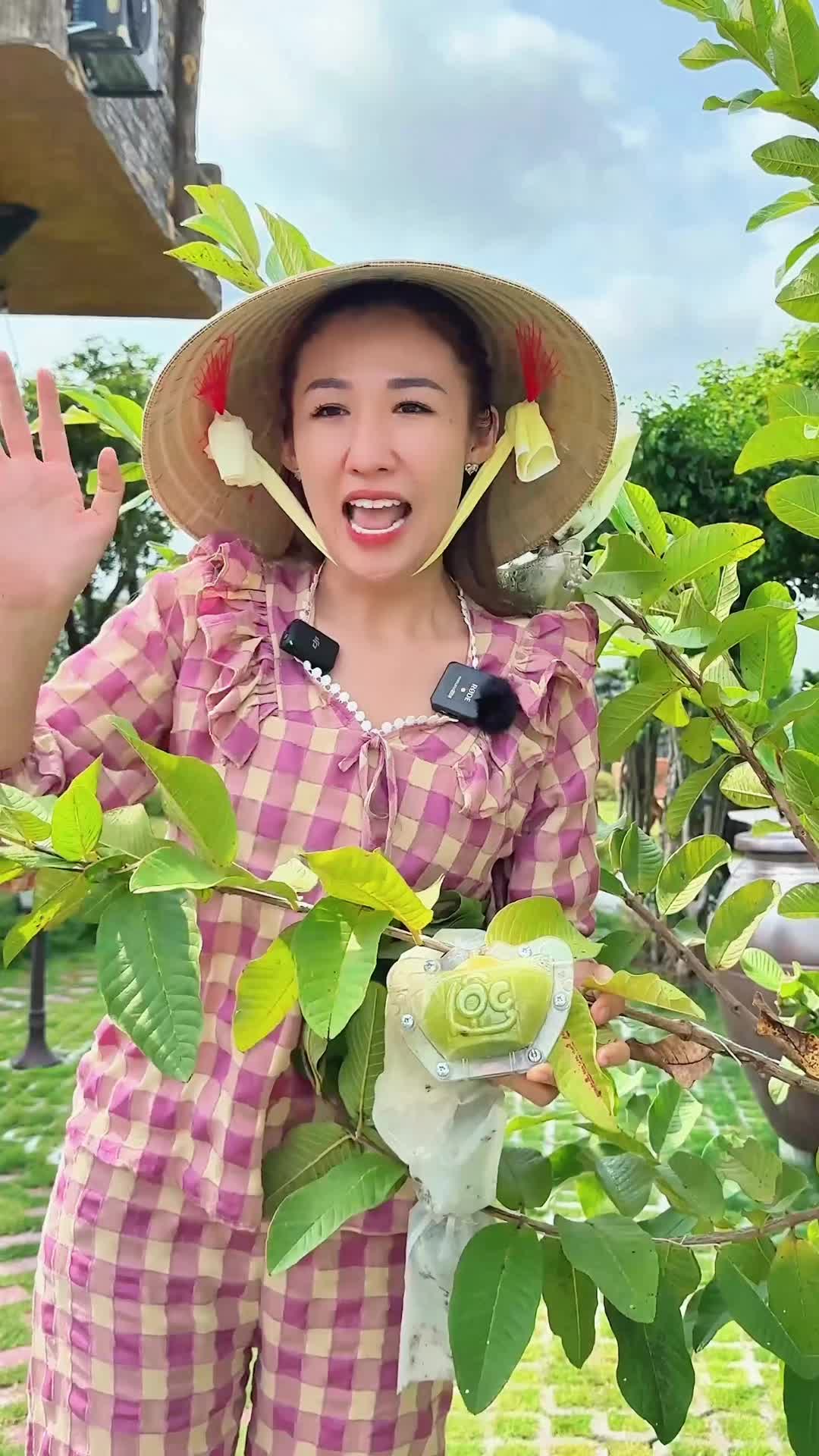 @Nguyễn Huỳnh Như