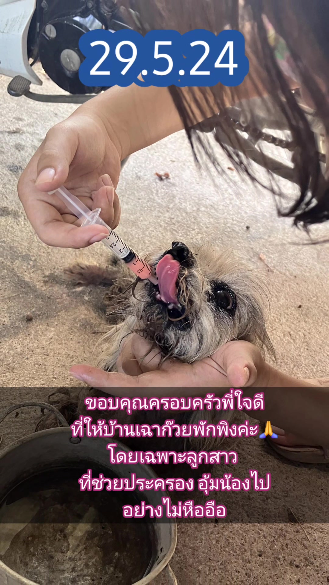 @Darlingdarin