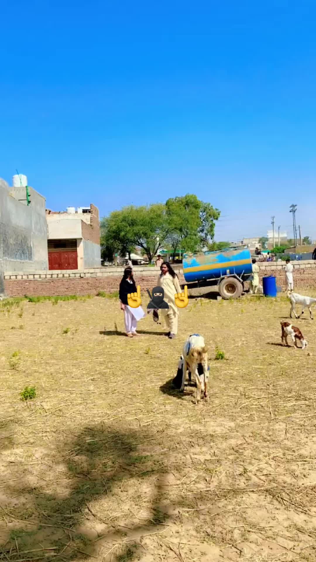 @Abbasikhanyarbash