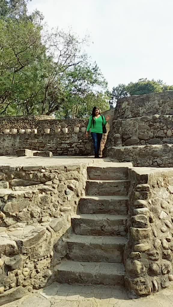 @dikshakashyap