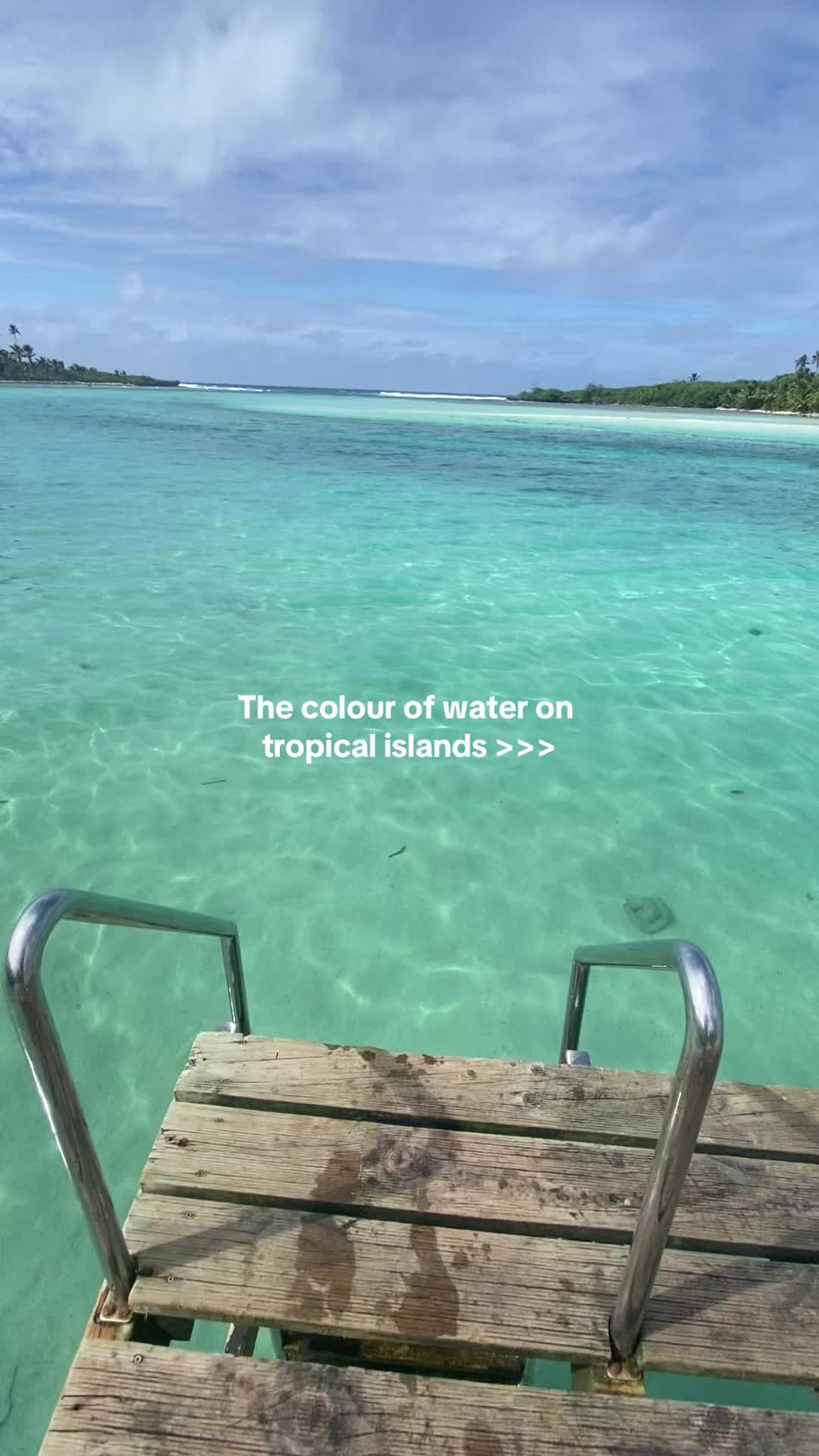 @🤿🌊🌺🐚☀️🦭