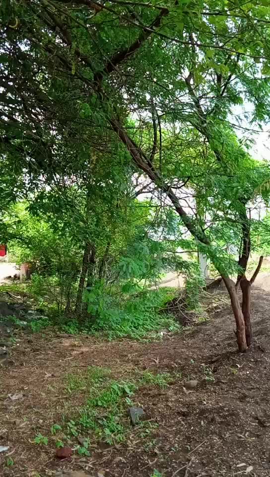 @VAISHU