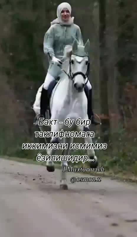 @Океан