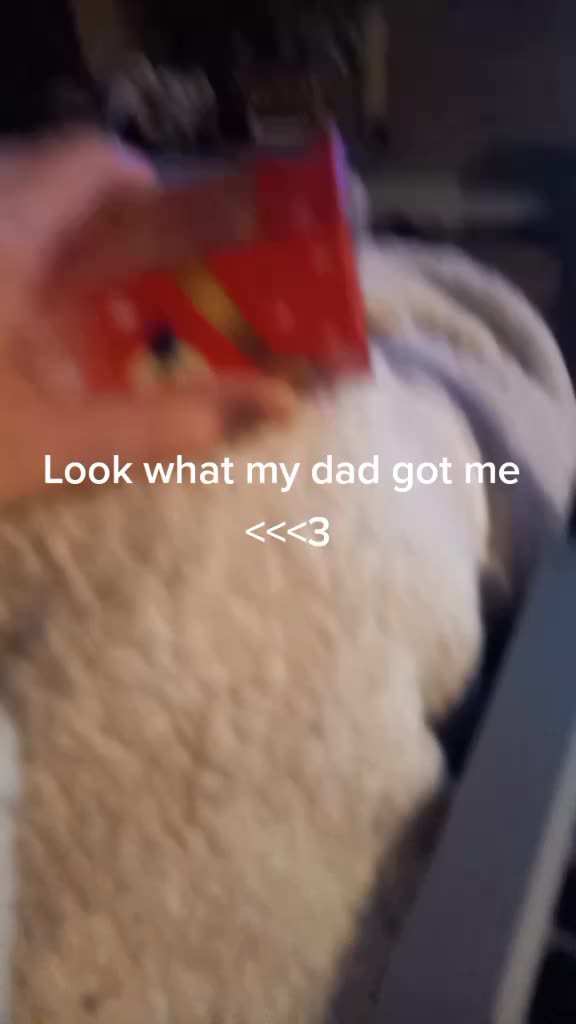 @Egg