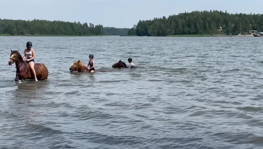 @Hus&ouml;