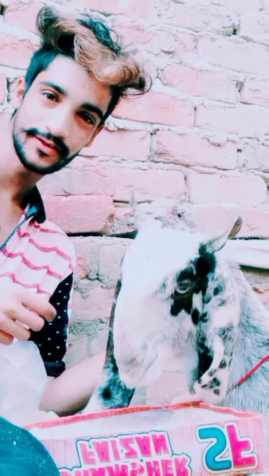 @wajii khan 0