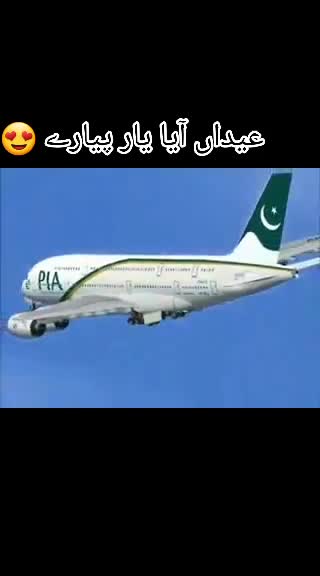 @Alizeey noor❤