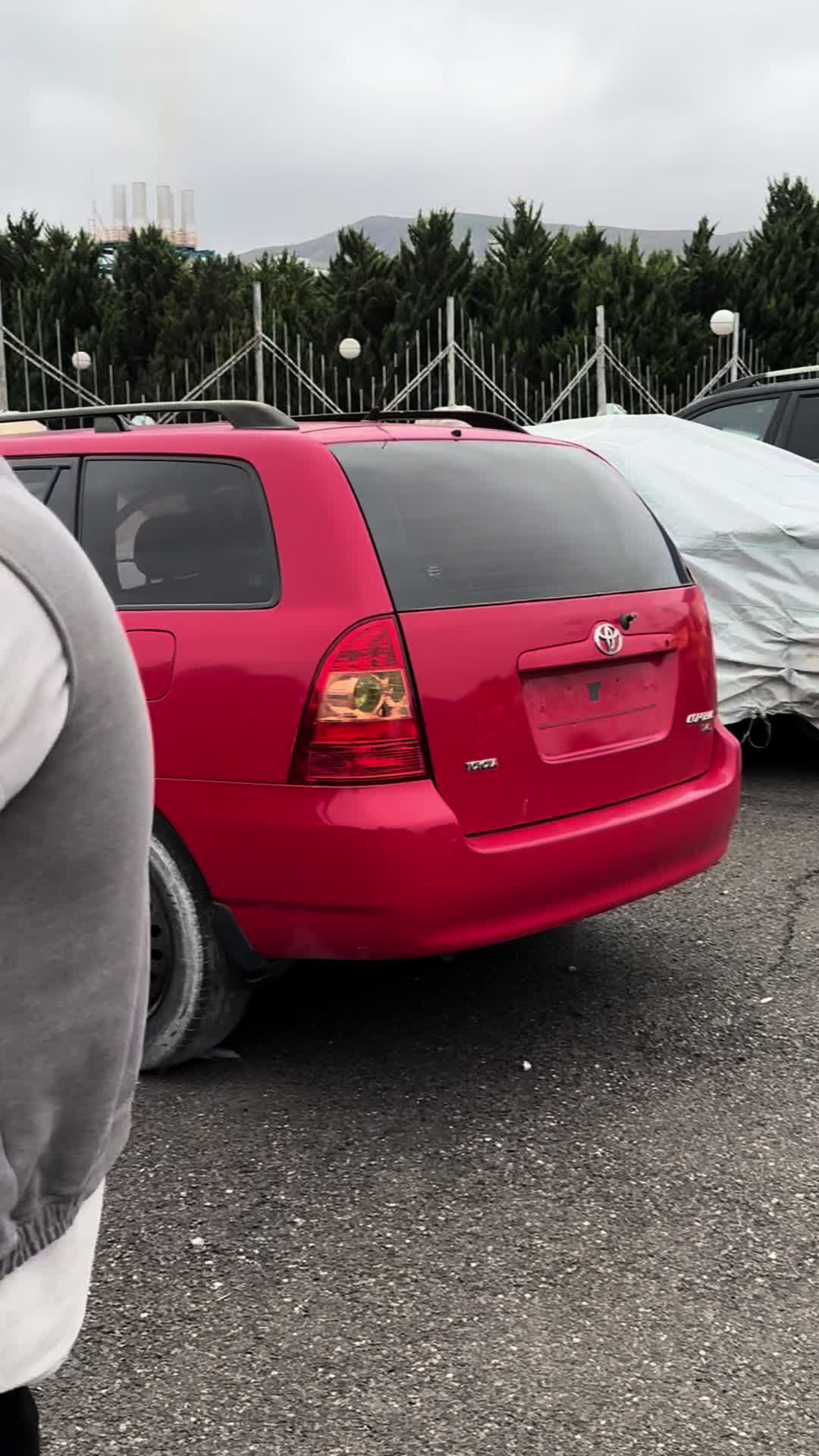 @_qorxmaz