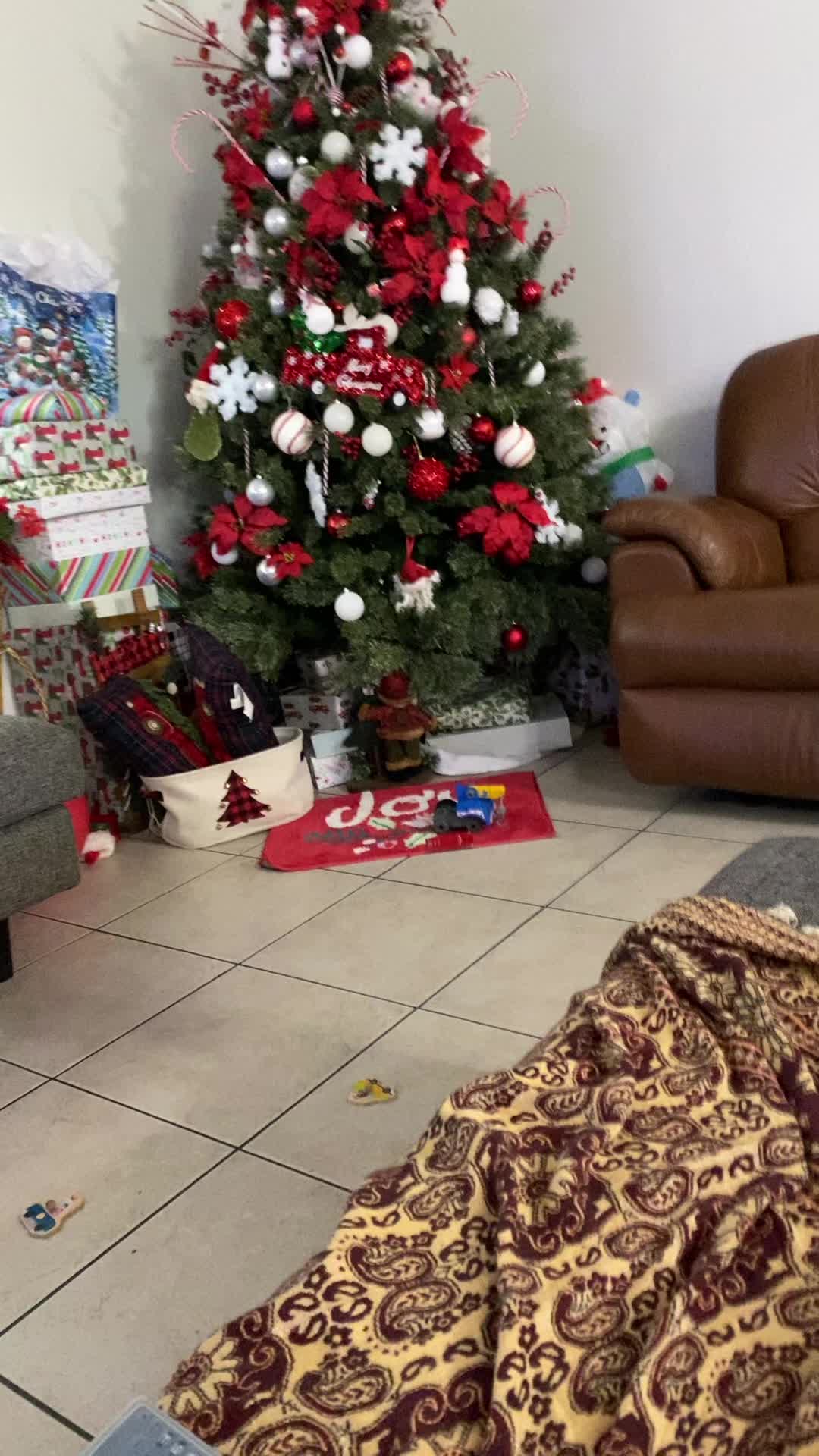 @pedrolopez37595