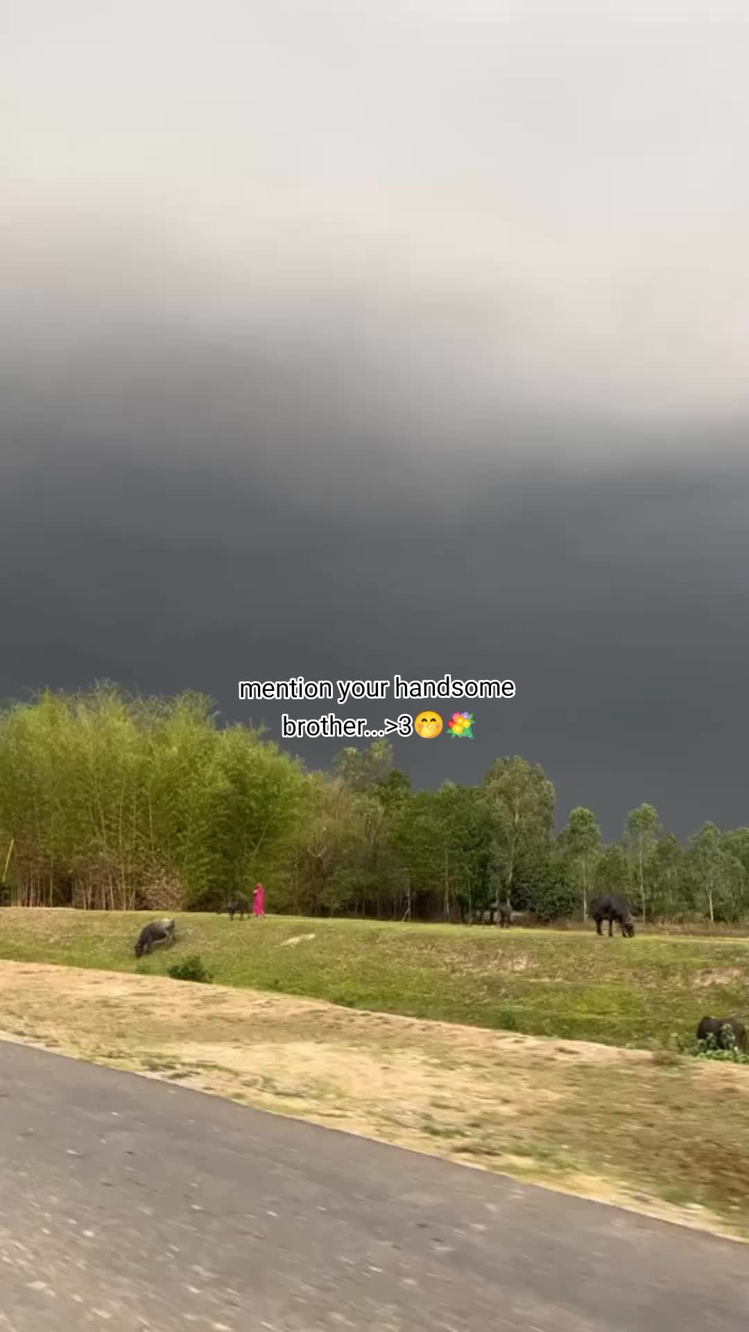 @सुस्मिता सुनार...♡🥹🫂