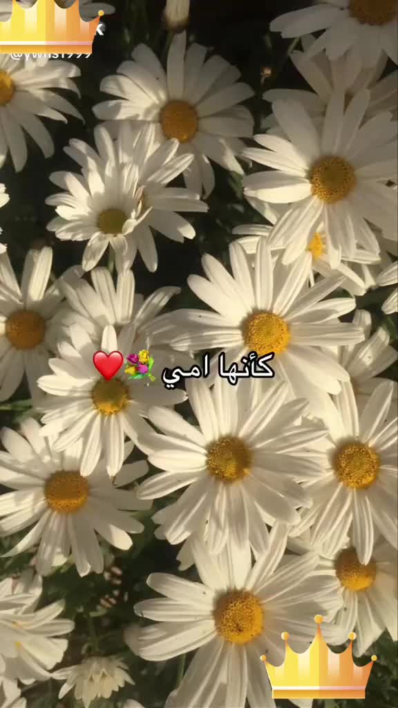 @فــــࢪح🫶🥹🎀