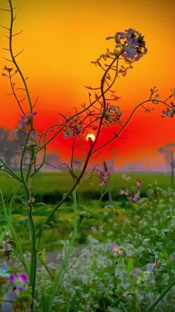 @@Megh Balika