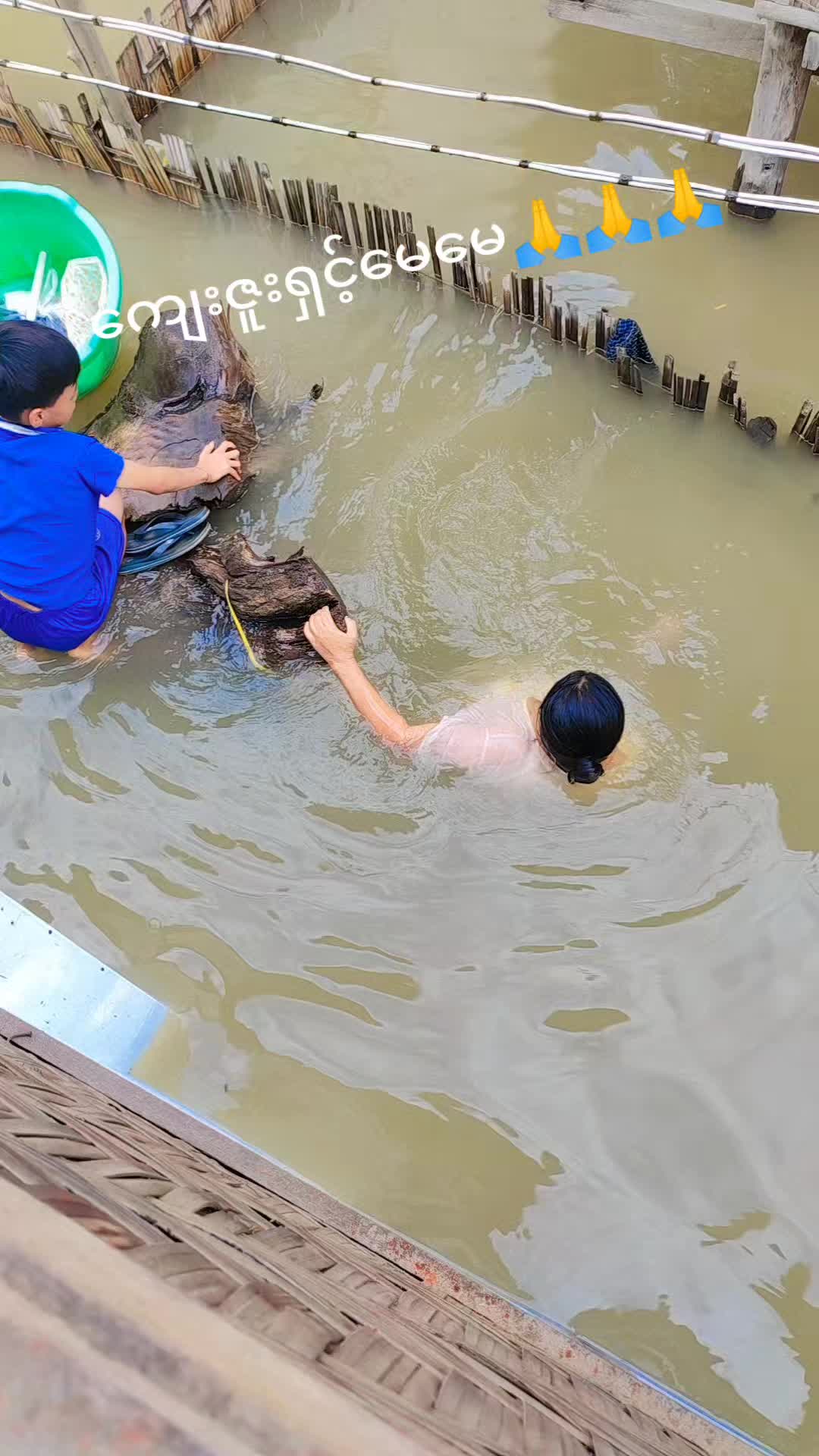 @Myat Myat Amara20