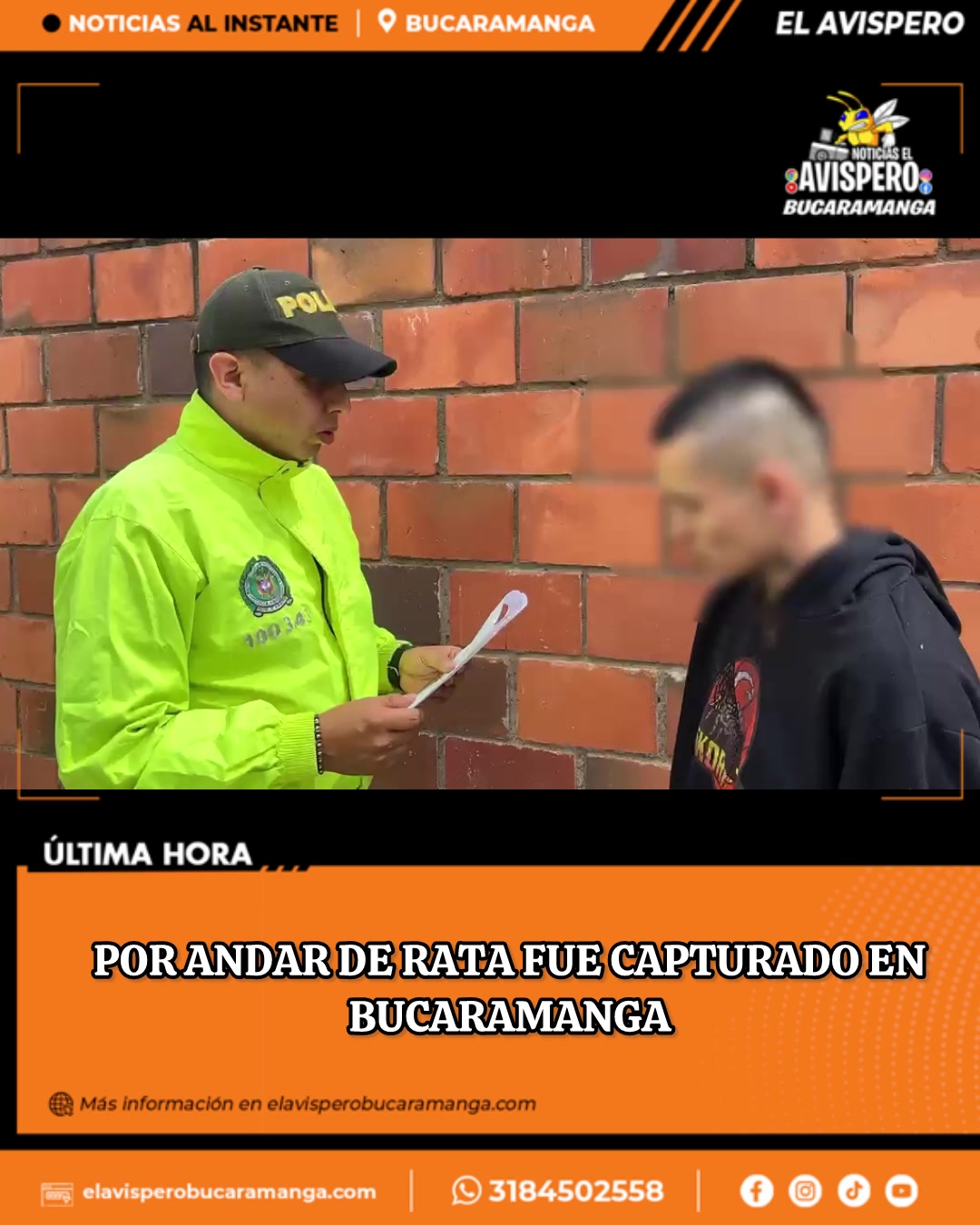 @avisperobucaramanga
