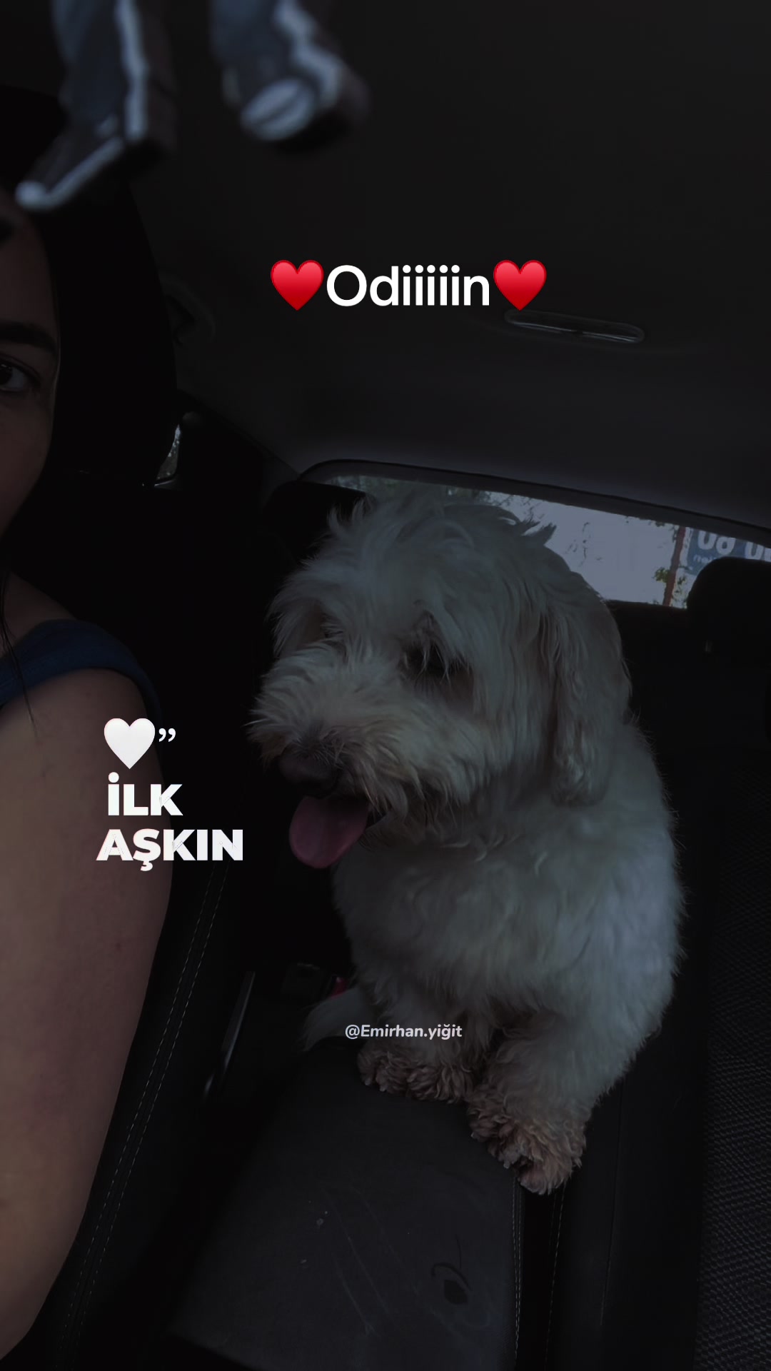 @Ilknur Yücel