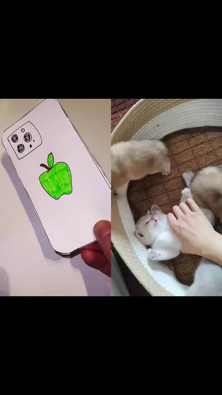 @maxfsdf