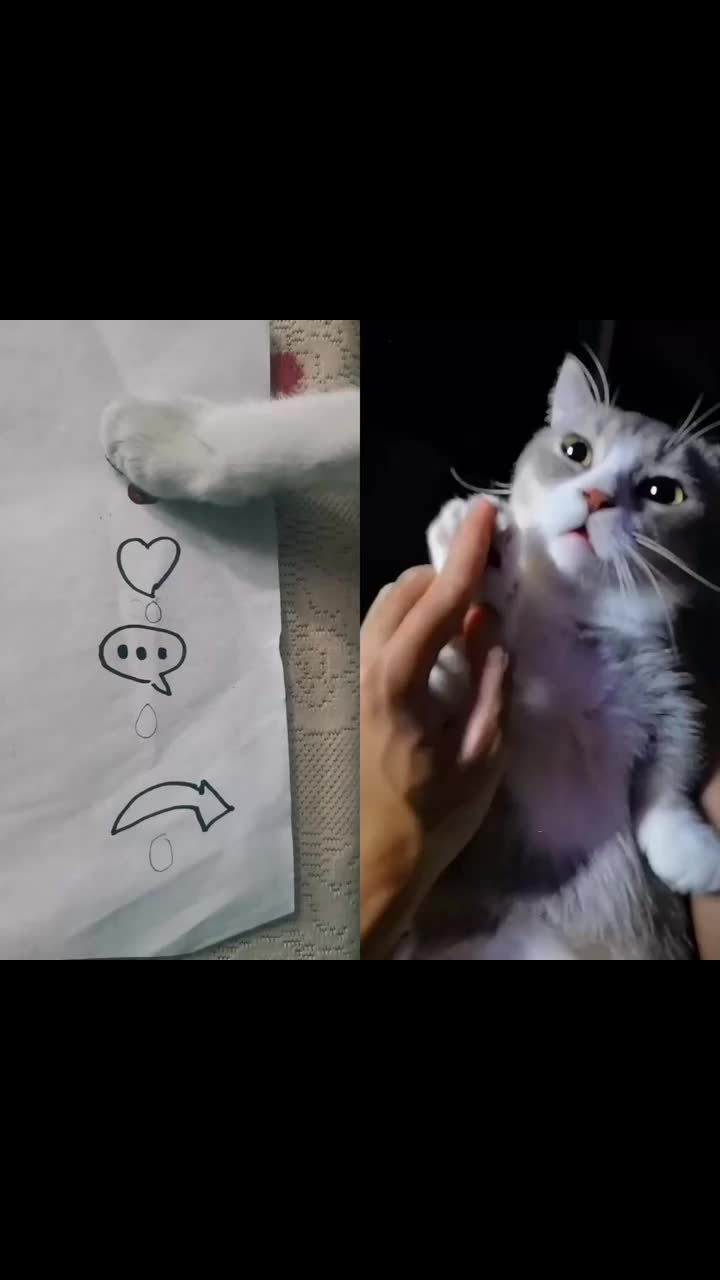 @MAX64WEYH