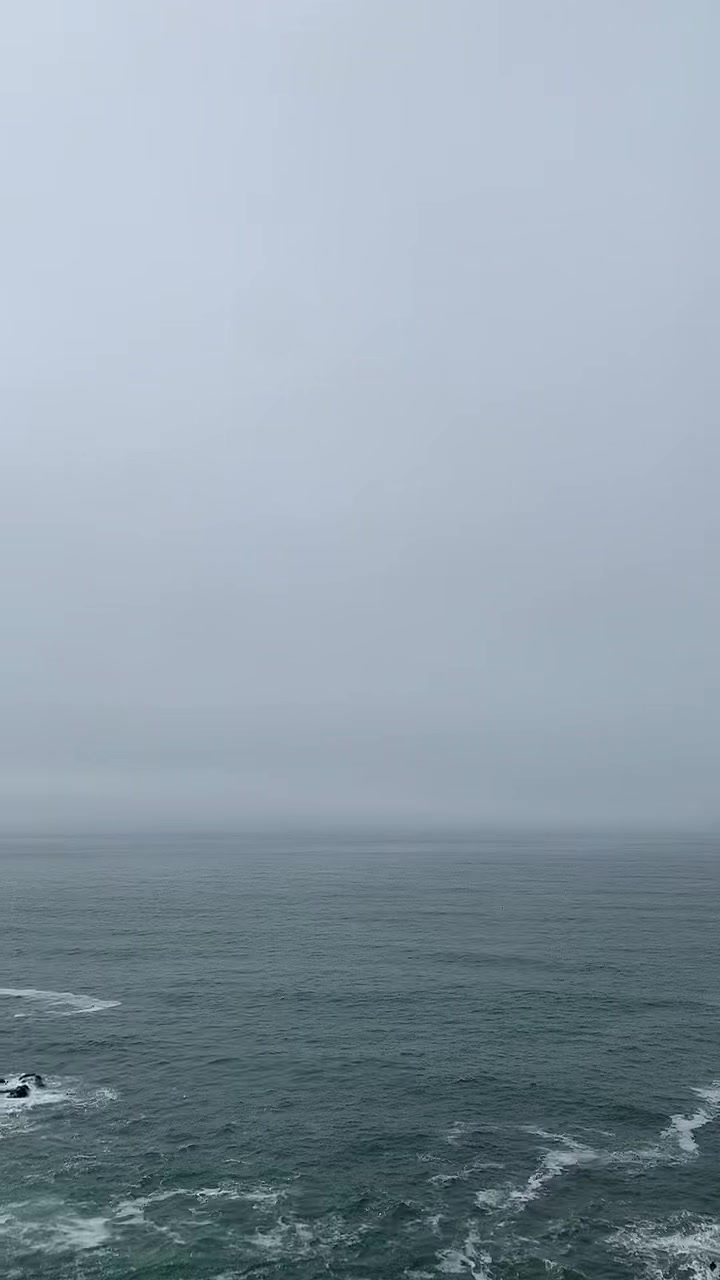 @2wicebitten