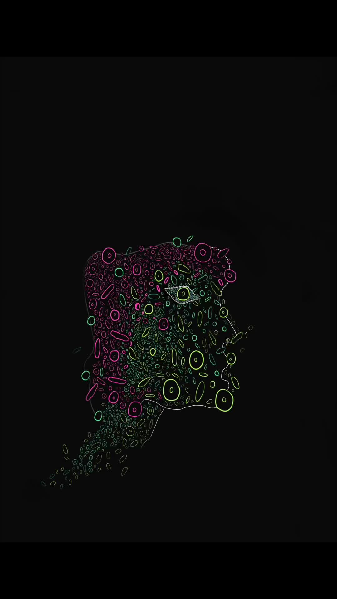 @🤍