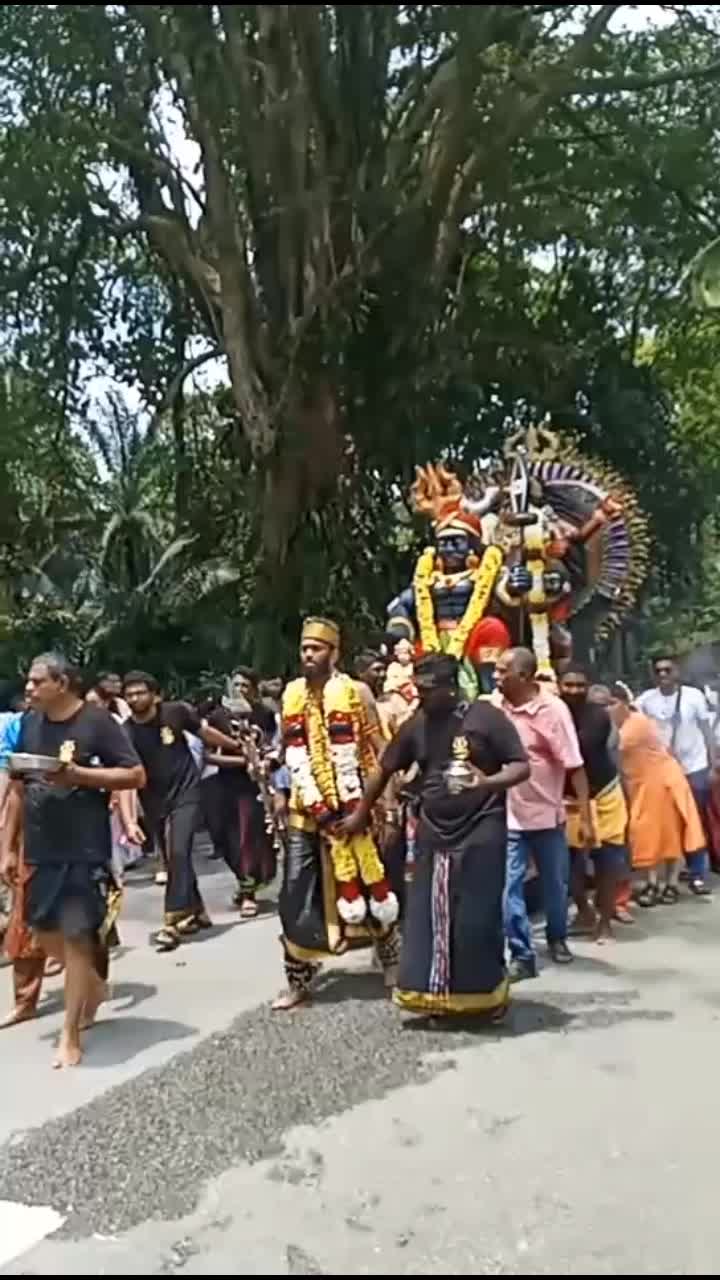 @kamalshamini3