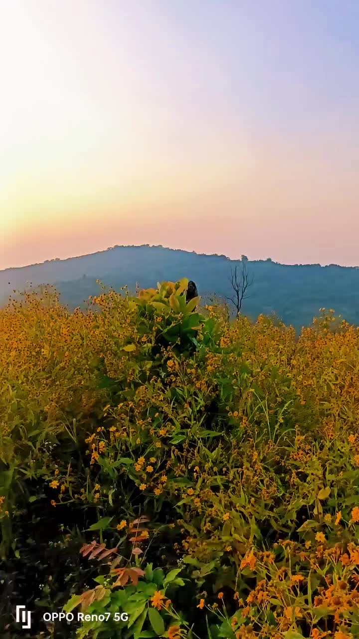 @हि-माल ठकुरी