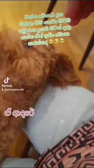 @RASU ❤❤❤