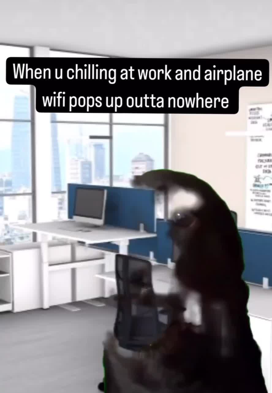 @byte.memez
