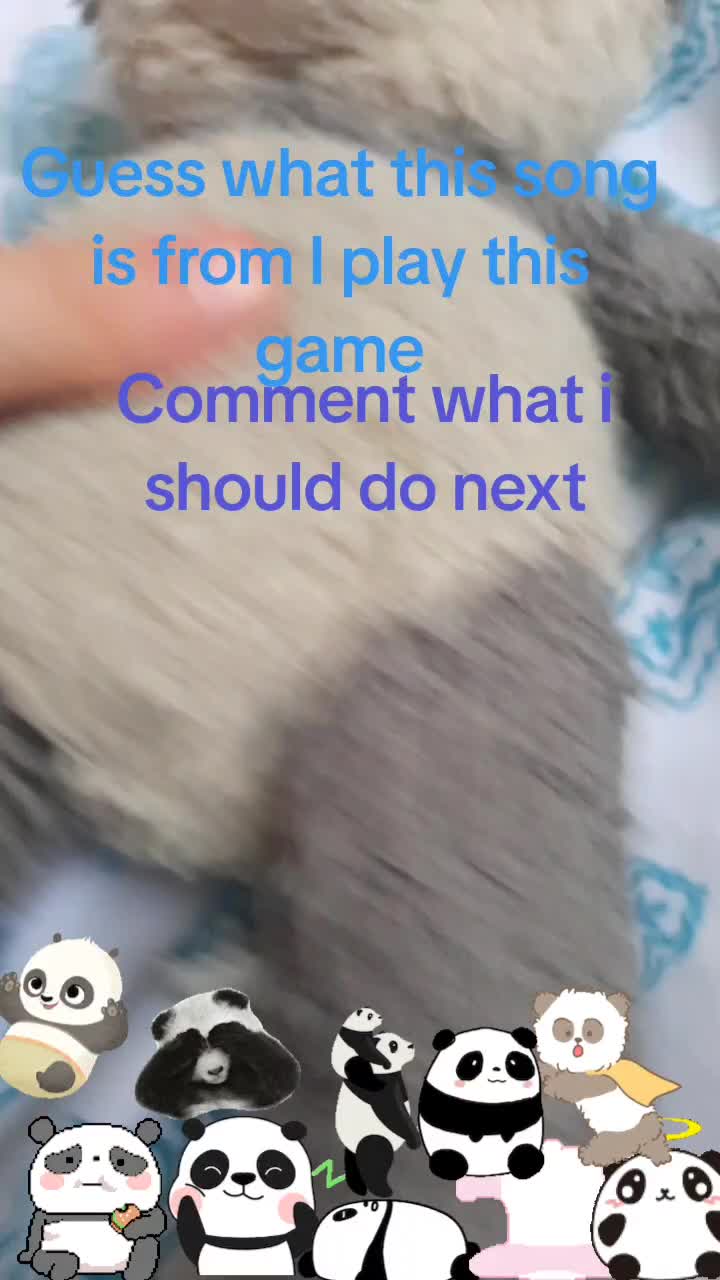 @coolcatgamer