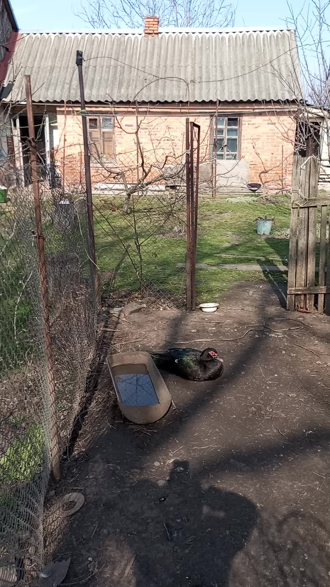 @🦃инда утки🦆