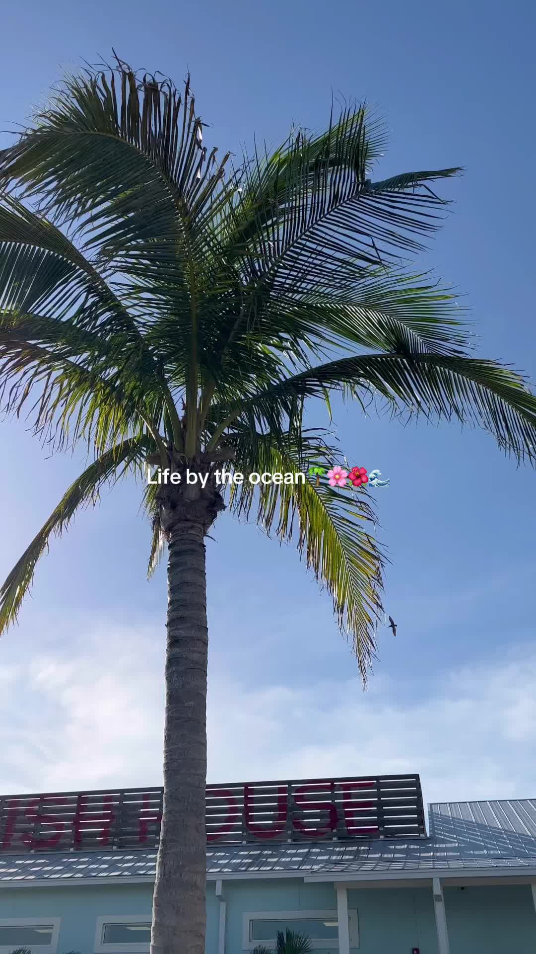 @andyslife