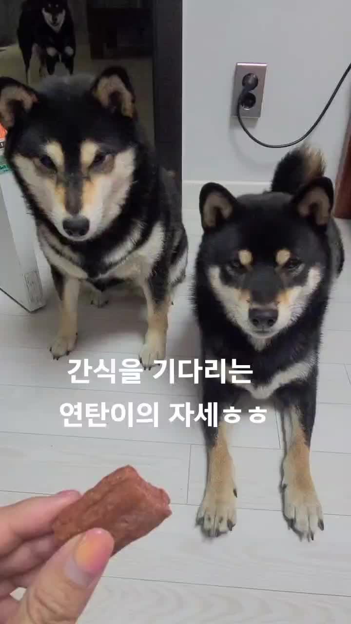 @연탄똘이