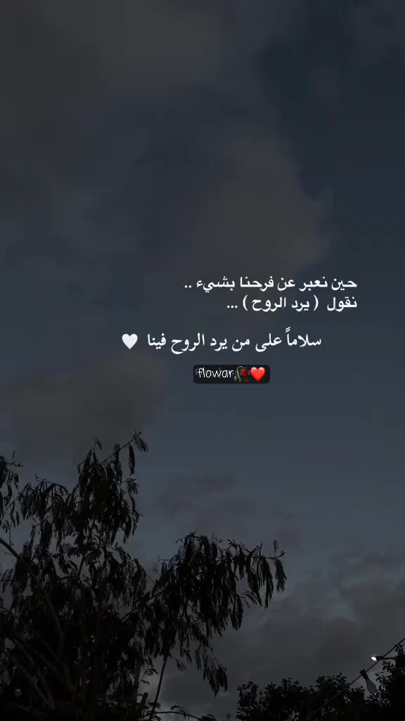 @Yasmine