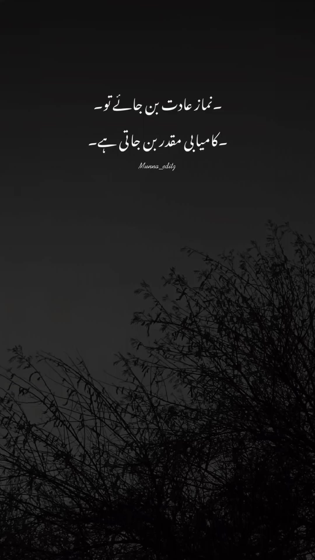 @wahab bahi