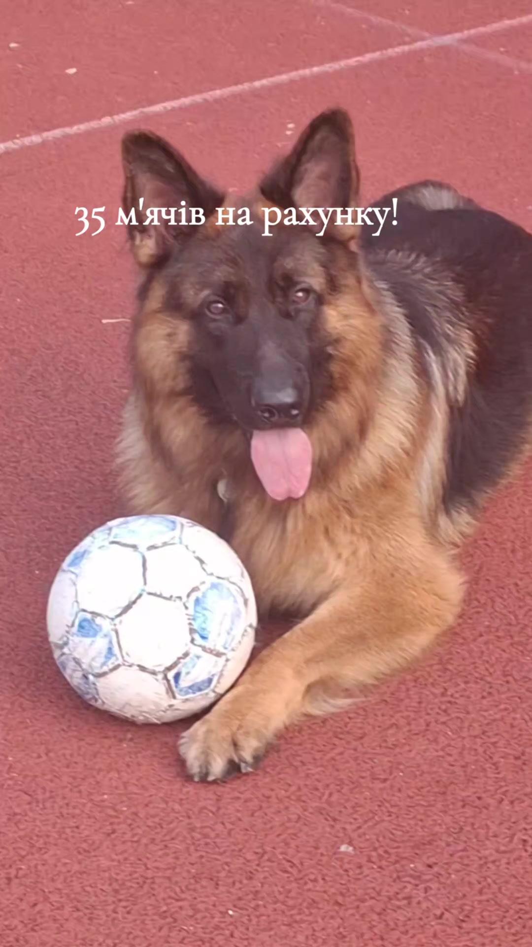 @МАТЬ ДРАКОНІВ🤣