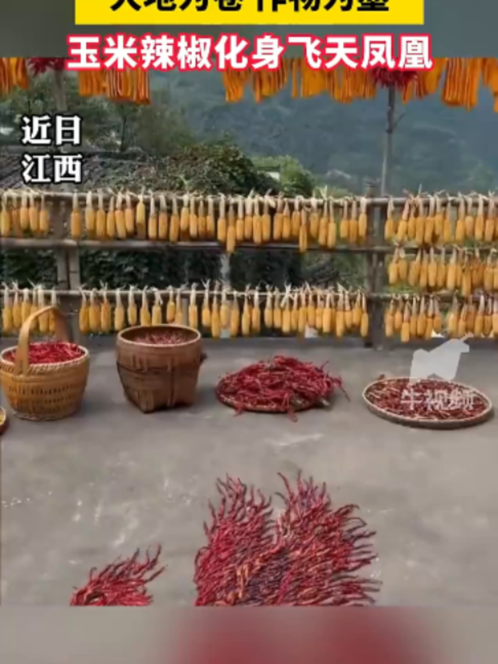 @中国蓝国际