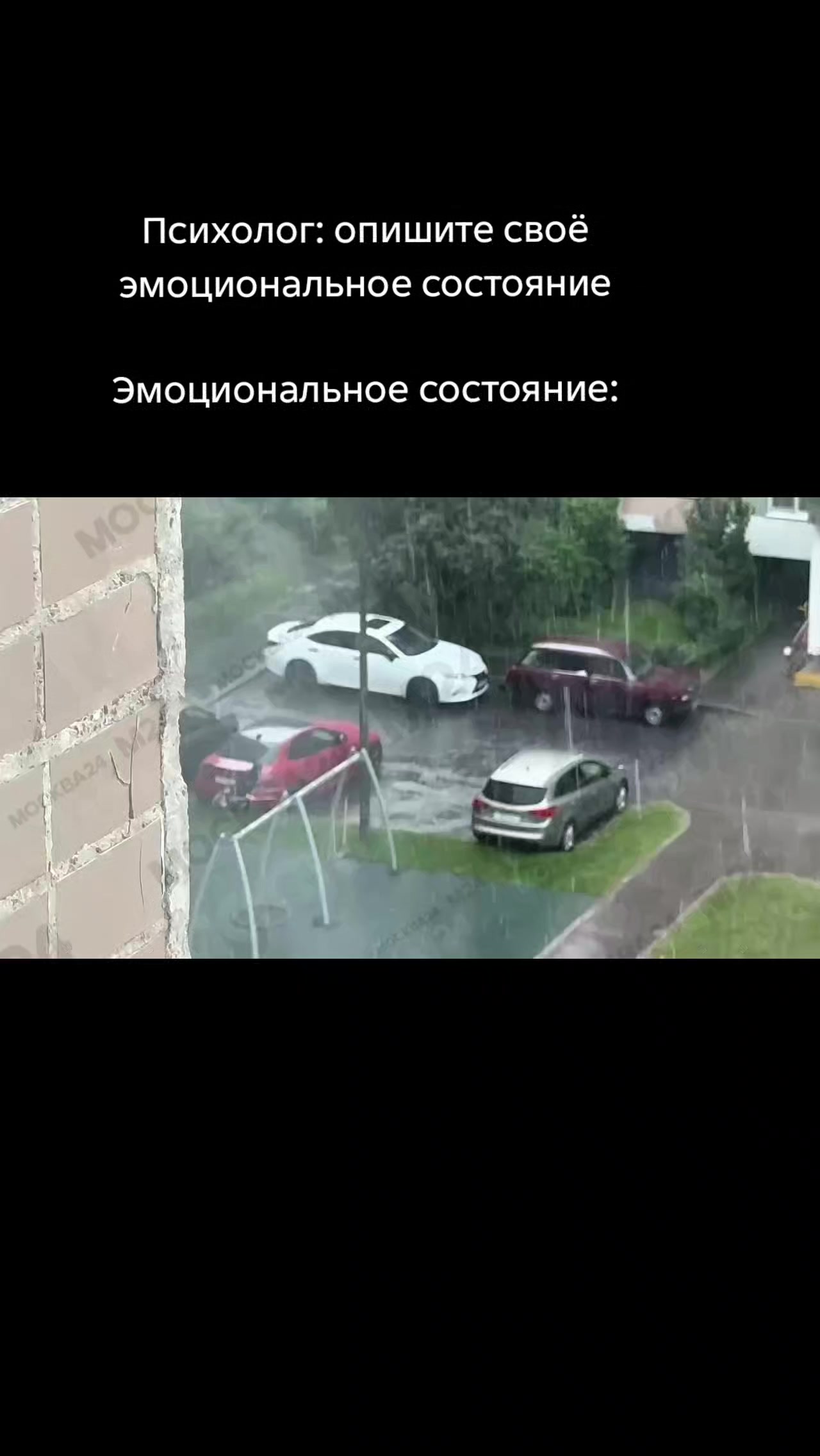@Москва 24