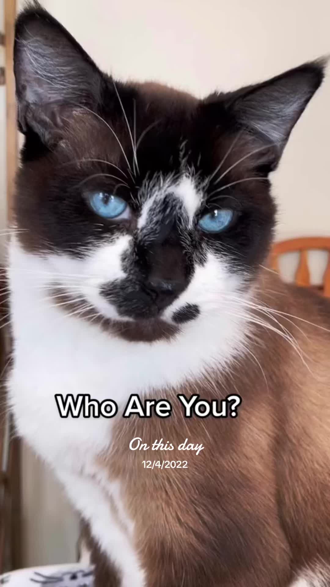 @Miss Bella Blue 💚