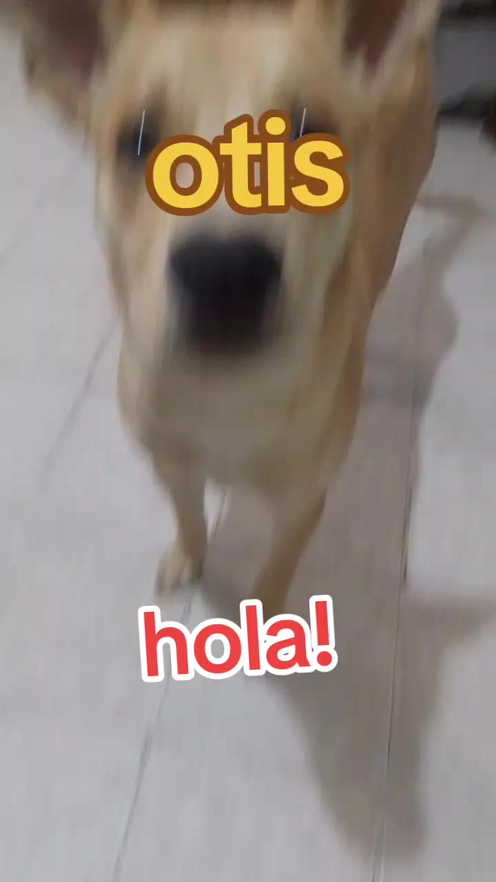 @alberto Ag