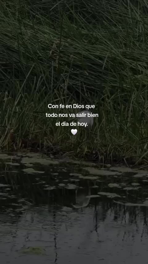 @Wlady SL